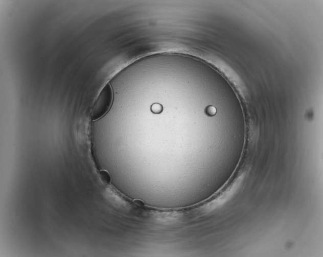 X0000102351001200808151746