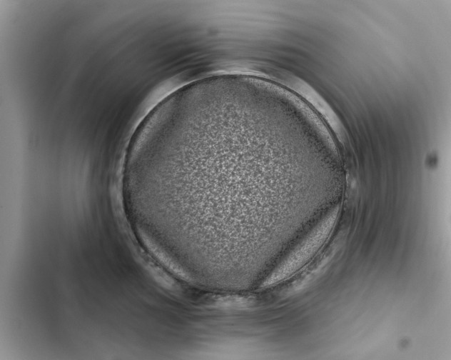 X0000102351002200808151746