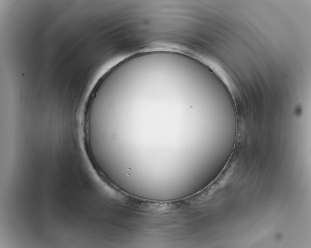 X0000102351003200808151746