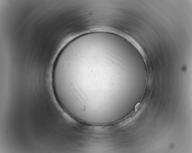 X0000102351005200808151746