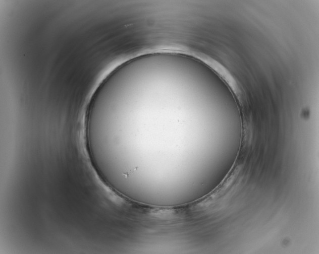 X0000102351006200808151746