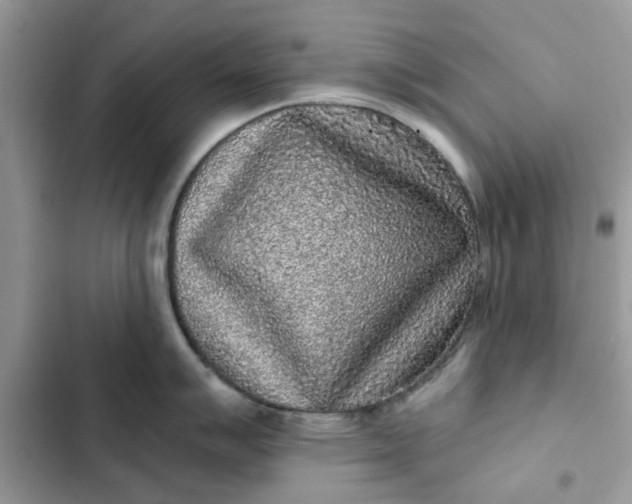 X0000102351007200808151746