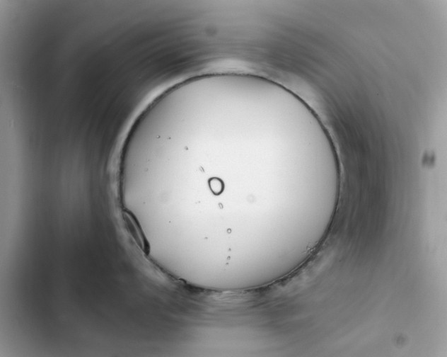 X0000102351008200808151746