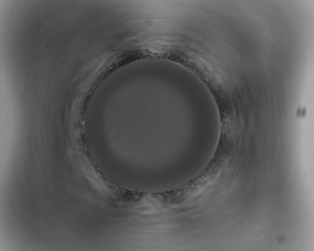 X0000102351009200808151745