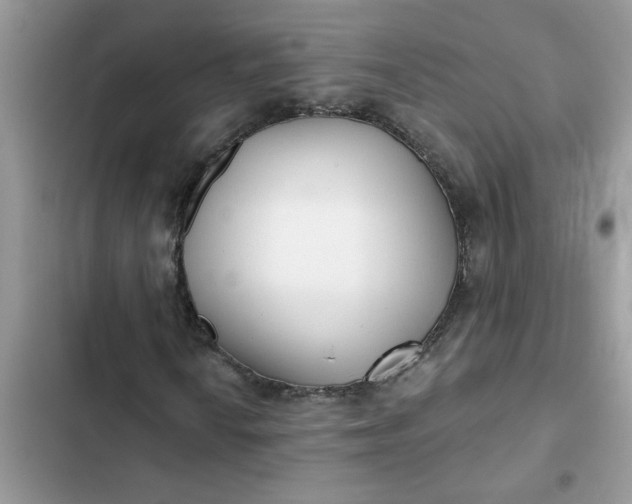 X0000102351010200808151745