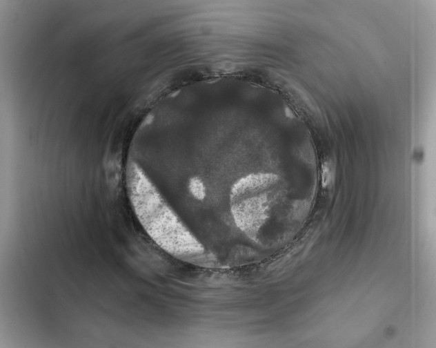 X0000102351011200808151745