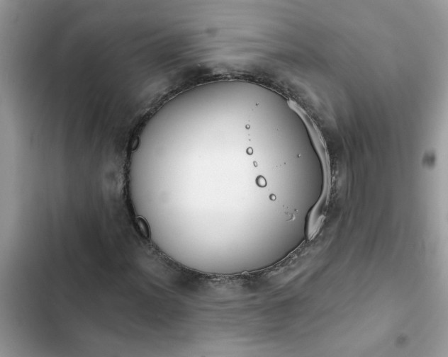 X0000102351012200808151745