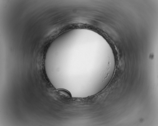 X0000102351014200808151745