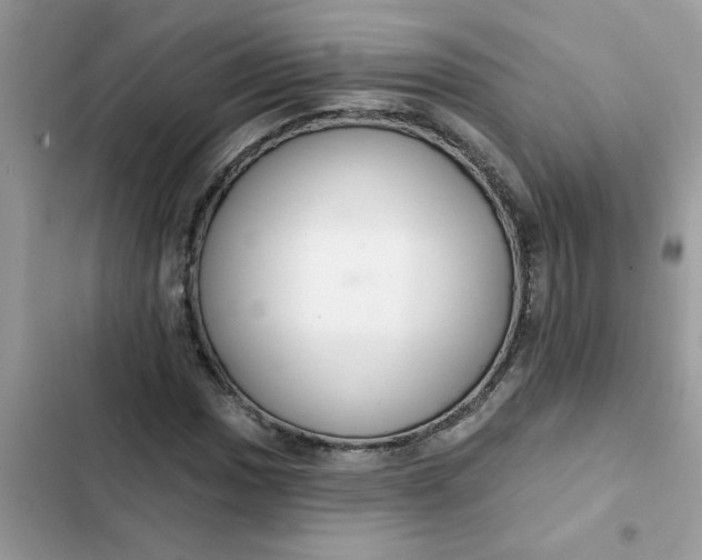 X0000102351017200808151745