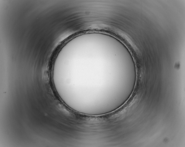 X0000102351018200808151745