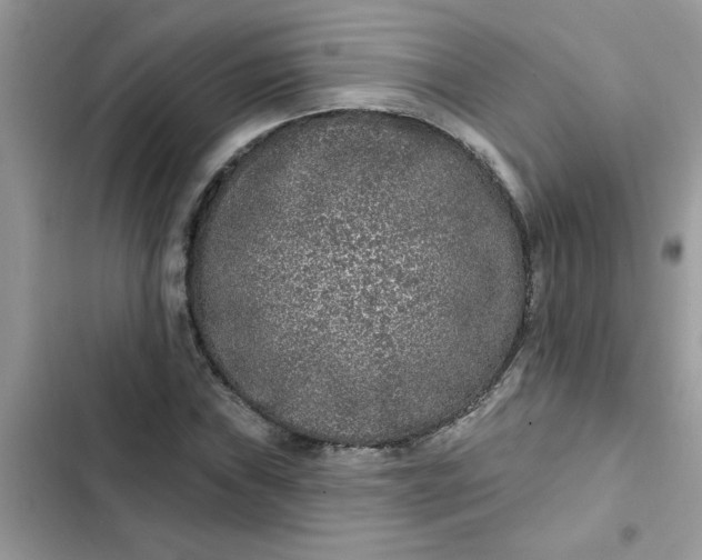 X0000102351019200808151745