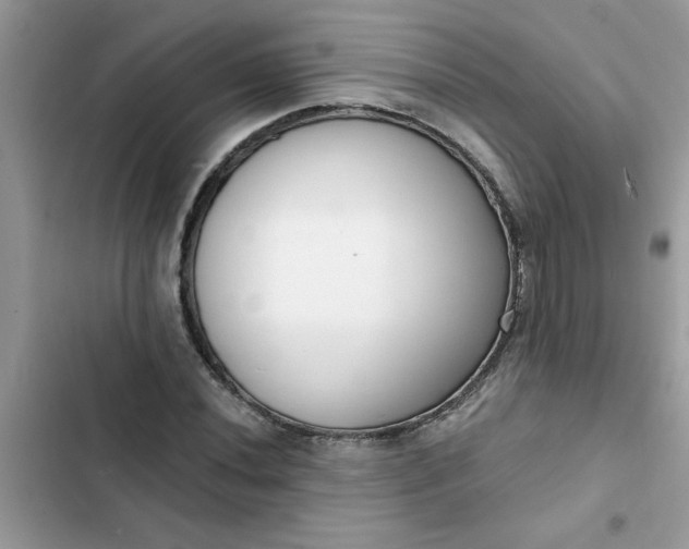 X0000102351020200808151745