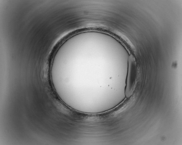 X0000102351021200808151745