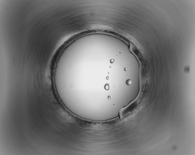 X0000102351022200808151745