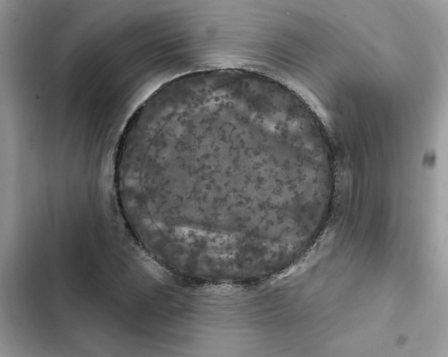 X0000102351023200808151745