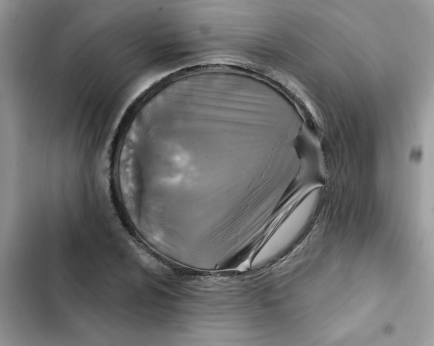 X0000102351024200808151745