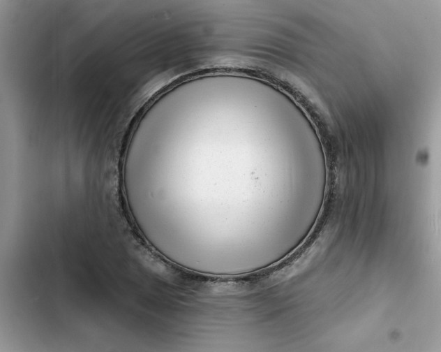 X0000102351025200808151745