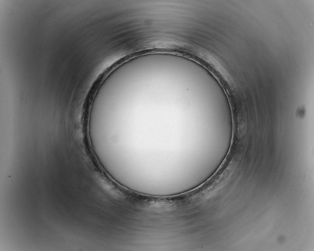 X0000102351026200808151745