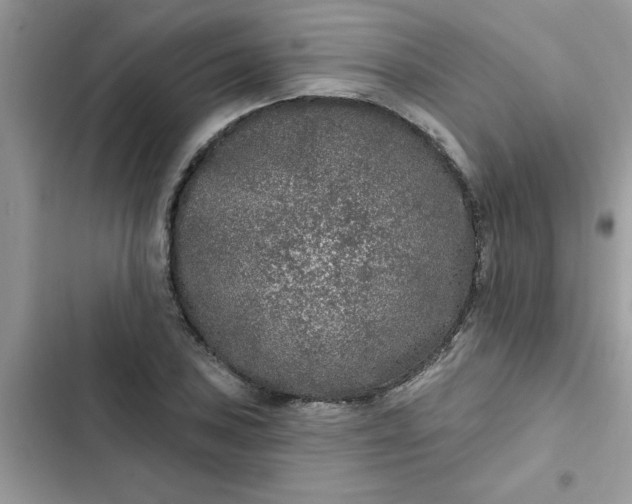 X0000102351027200808151745