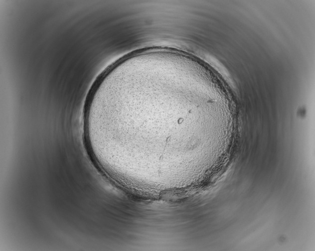 X0000102351028200808151745