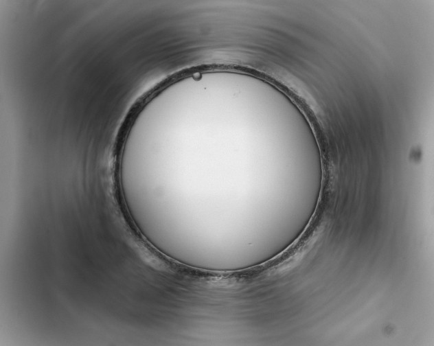 X0000102351029200808151745