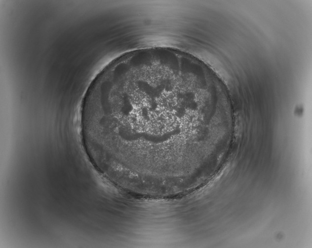 X0000102351031200808151745