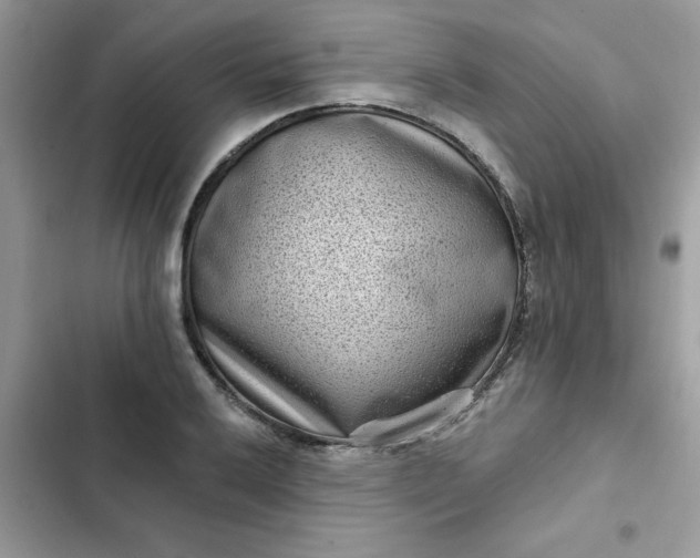 X0000102351032200808151745