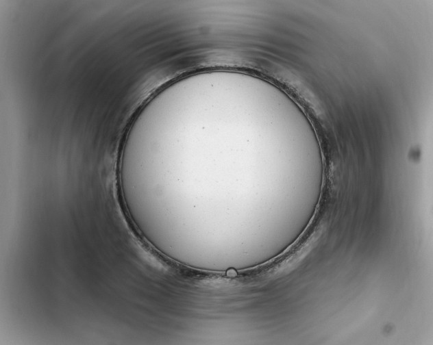 X0000102351033200808151745