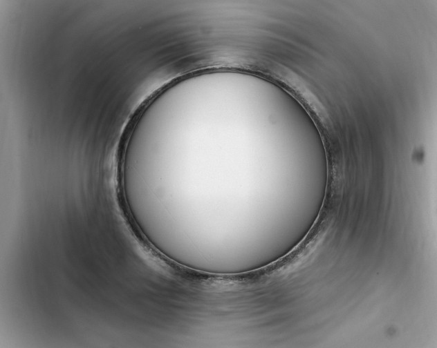 X0000102351034200808151745