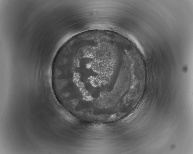 X0000102351035200808151745