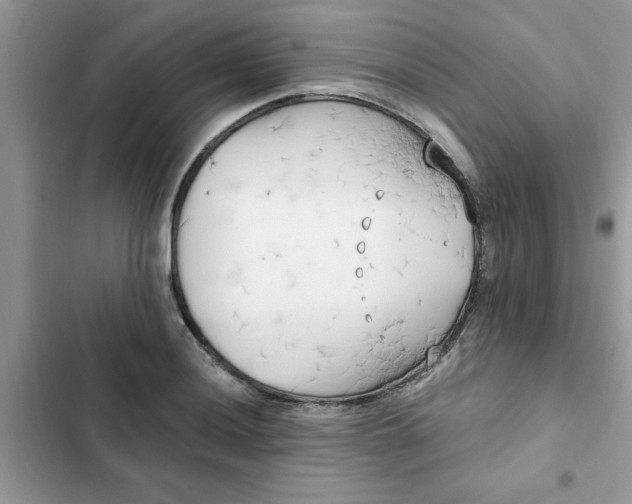 X0000102351036200808151745