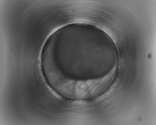 X0000102351037200808151745