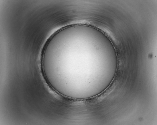 X0000102351038200808151745