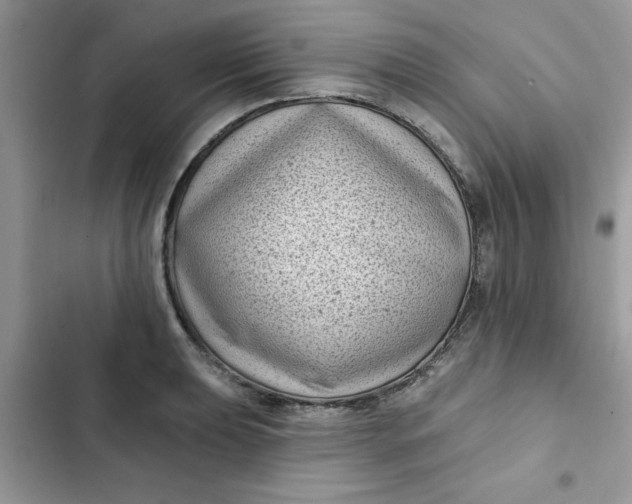 X0000102351039200808151745