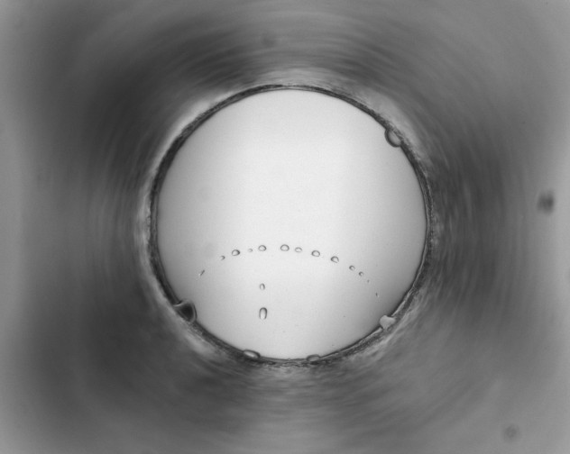 X0000102351040200808151746