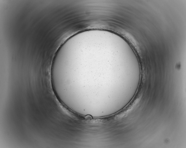 X0000102351041200808151746