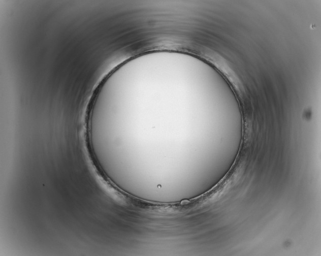 X0000102351042200808151746