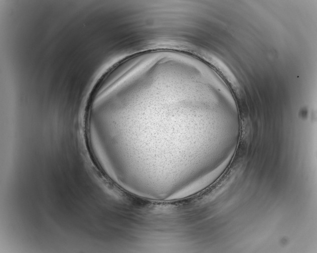 X0000102351043200808151746