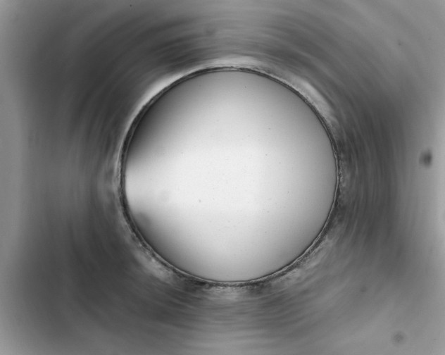 X0000102351044200808151746