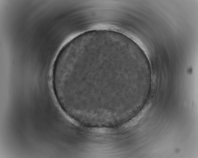 X0000102351045200808151746