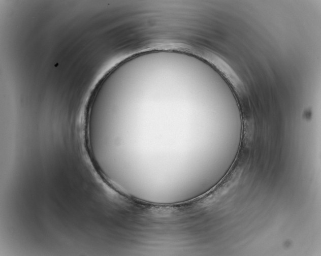 X0000102351046200808151746