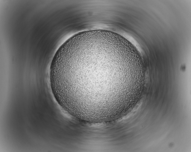 X0000102351047200808151746