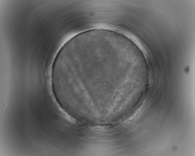 X0000102351048200808151746