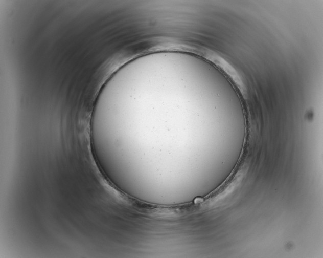 X0000102351049200808151746