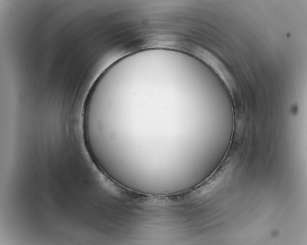 X0000102351050200808151746