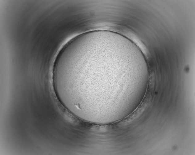 X0000102351051200808151746