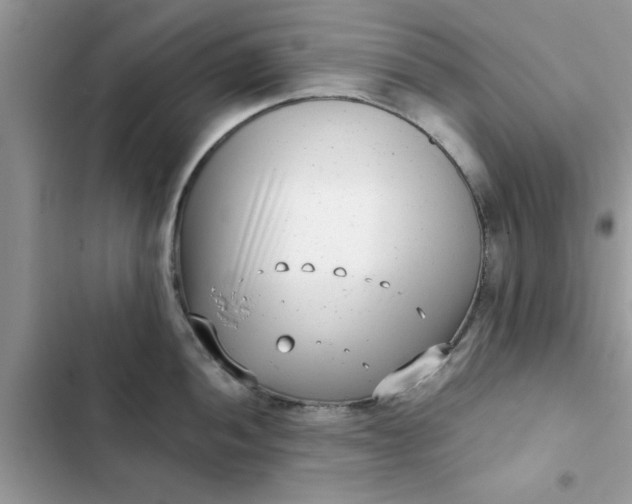 X0000102351052200808151746