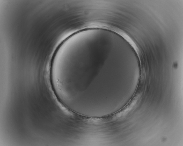 X0000102351053200808151746