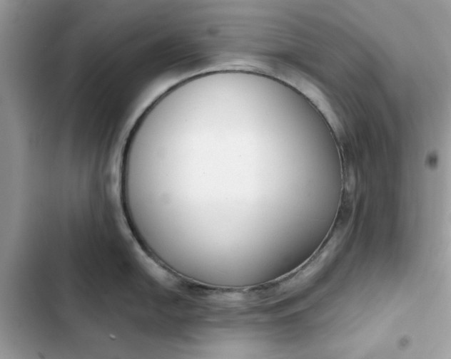 X0000102351054200808151746