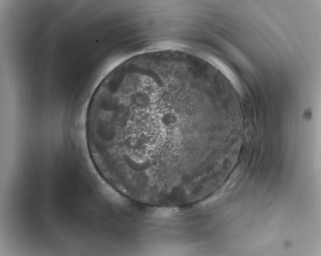 X0000102351055200808151746